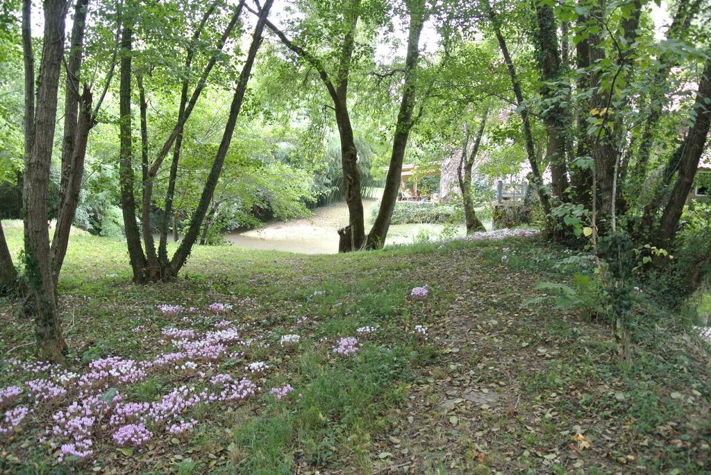 Moulin De Repassat Etape Voie Verte Bazens Exterior foto